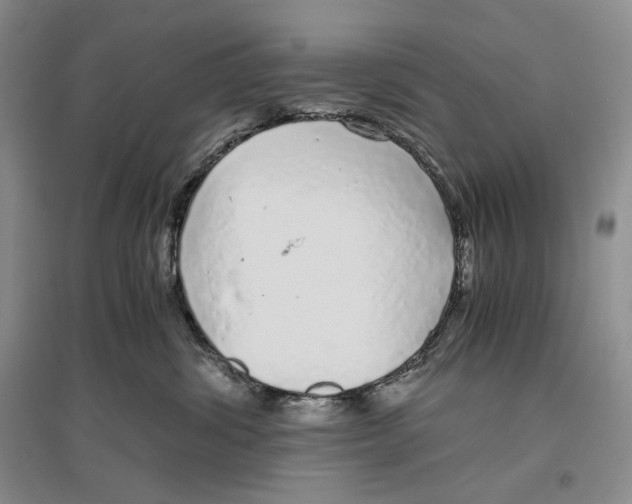 X0000096420428200802211128