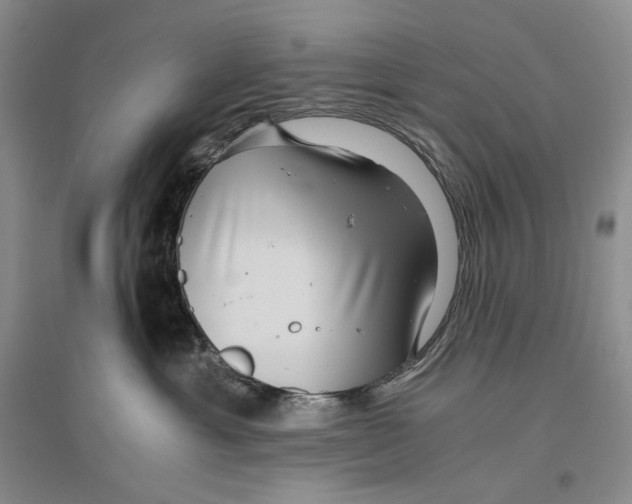 X0000096420429200802211128