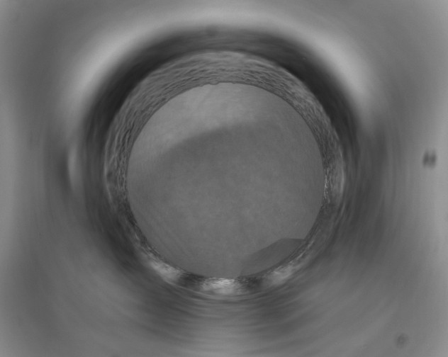 X0000096420431200802211128