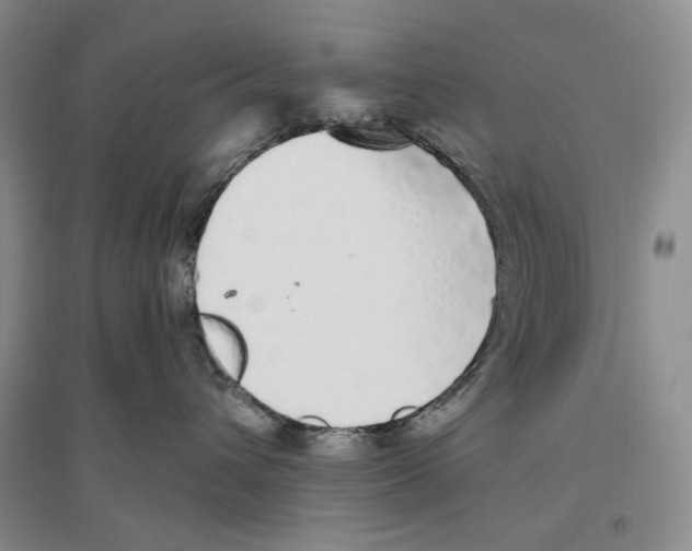 X0000096420432200802211128