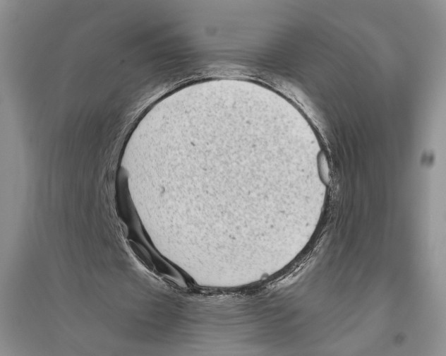 X0000096420433200802211127