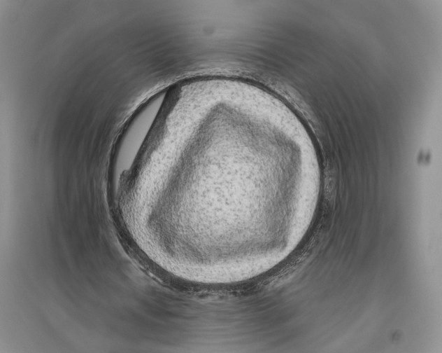 X0000096420434200802211127