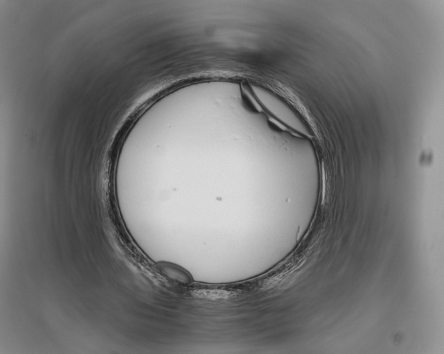 X0000096420435200802211127
