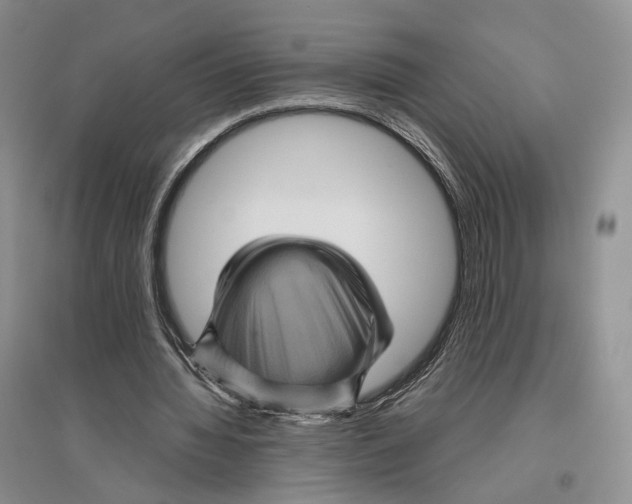 X0000096420436200802211127