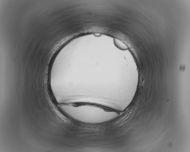 X0000096420437200802211127