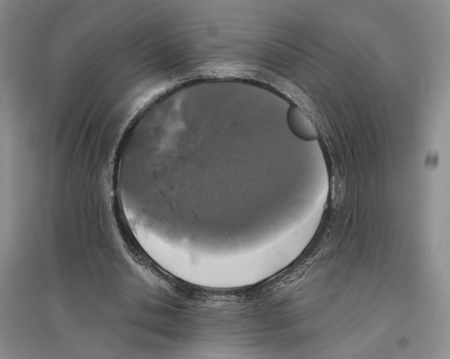 X0000096420438200802211127
