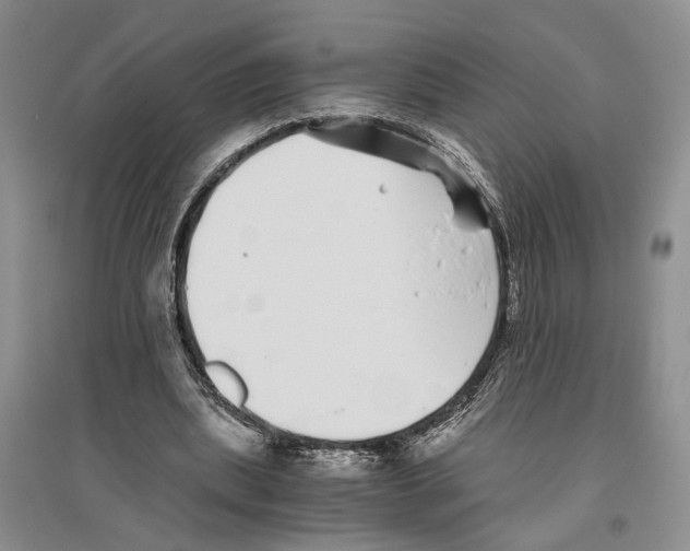 X0000096420439200802211127