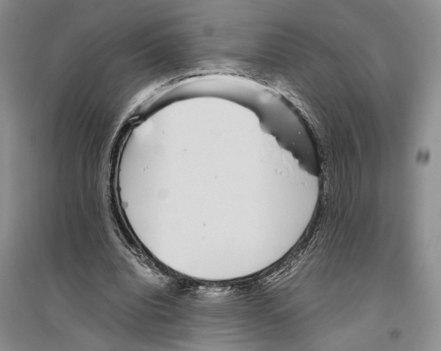 X0000096420440200802211127