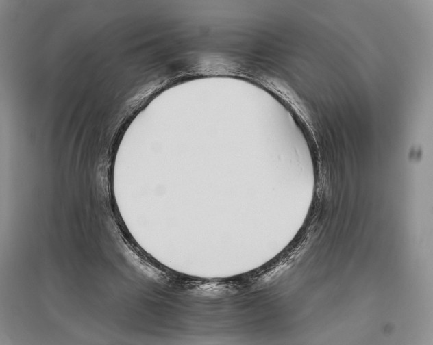 X0000096420441200802211127
