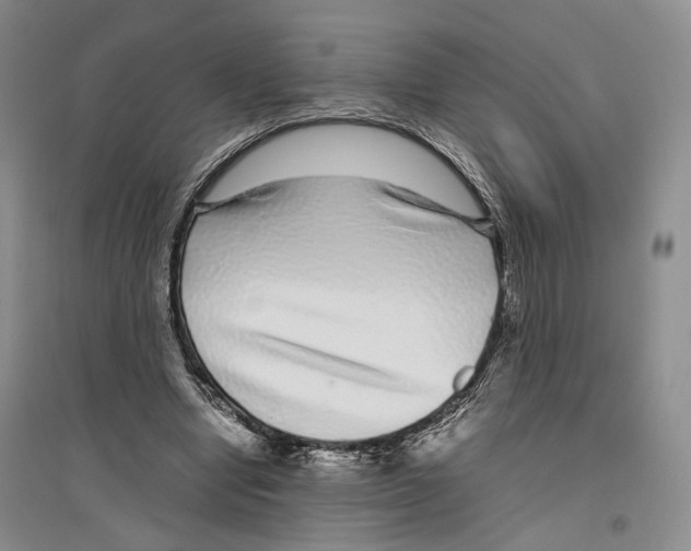 X0000096420442200802211127