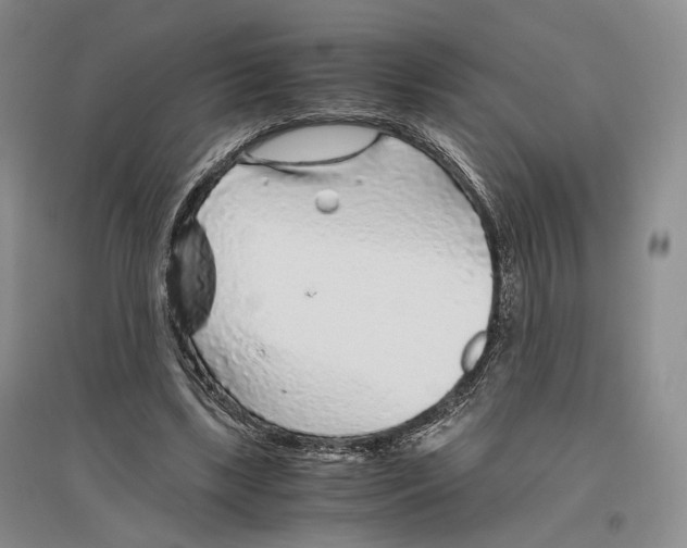 X0000096420443200802211127