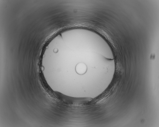X0000096420444200802211127