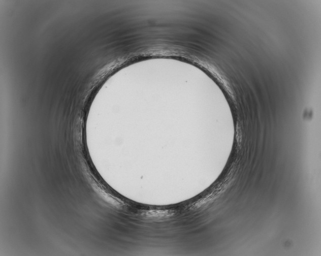 X0000096420445200802211127