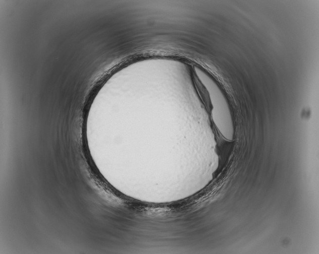 X0000096420446200802211127
