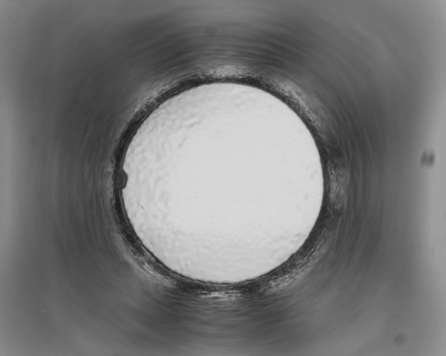 X0000096420447200802211127