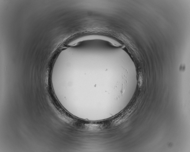 X0000096420448200802211127
