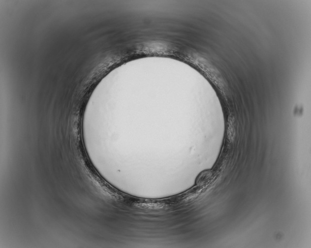 X0000096420449200802211127