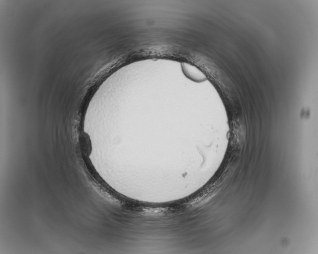 X0000096420450200802211127