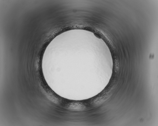 X0000096420451200802211127