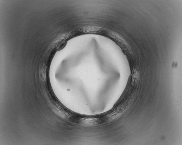 X0000096420452200802211127