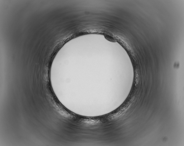 X0000096420453200802211127