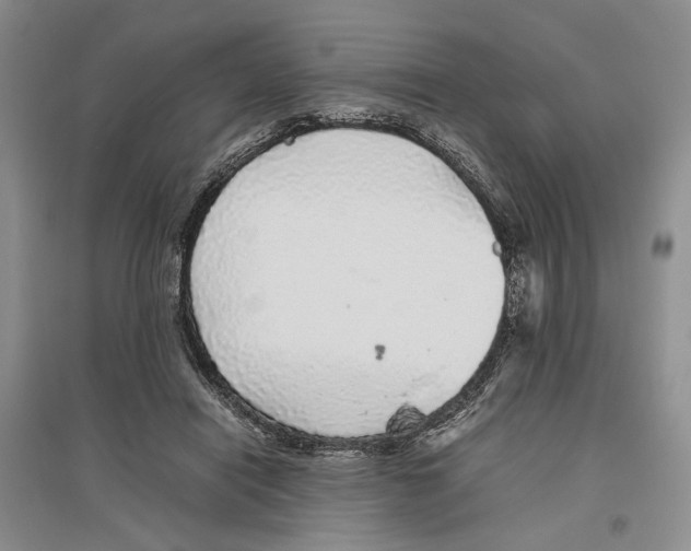 X0000096420454200802211127