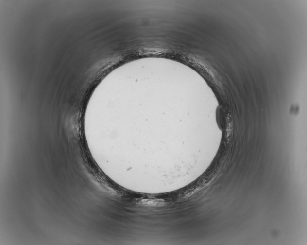 X0000096420455200802211127