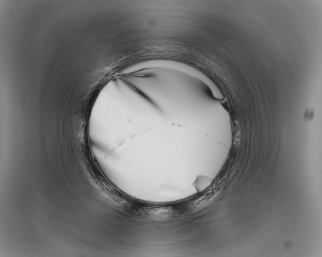 X0000096420456200802211127