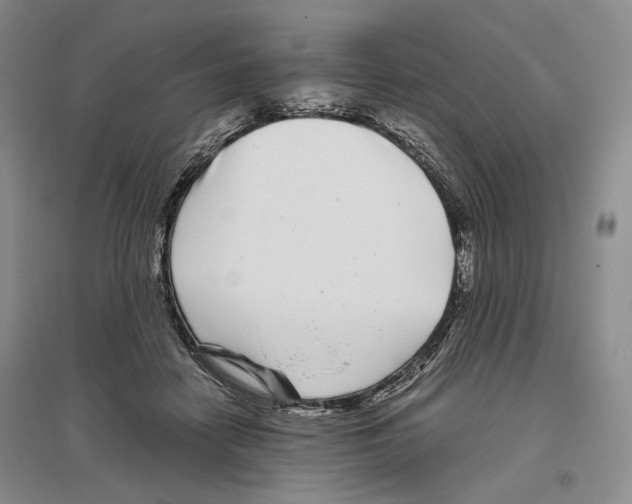 X0000096420458200802211128