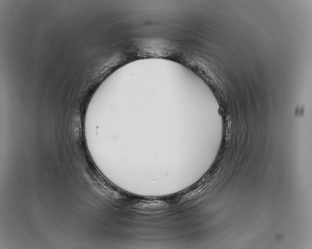 X0000096420459200802211128