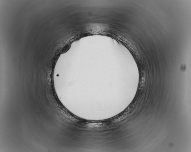 X0000096420461200802211128