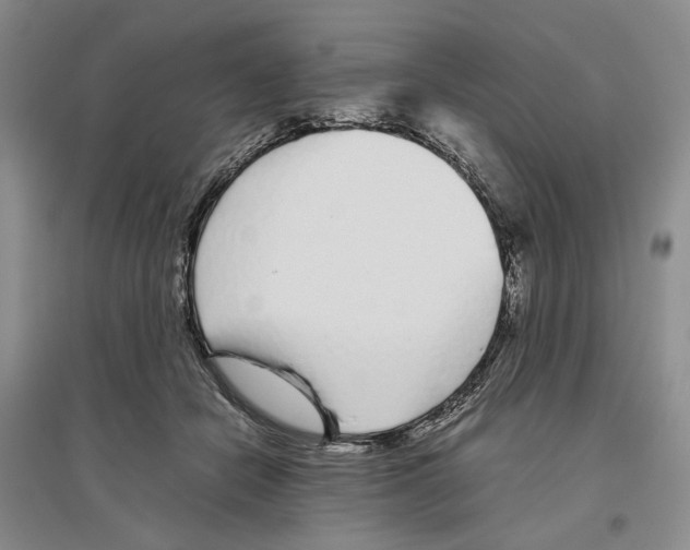 X0000096420462200802211128