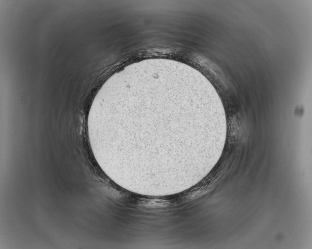 X0000096420463200802211128