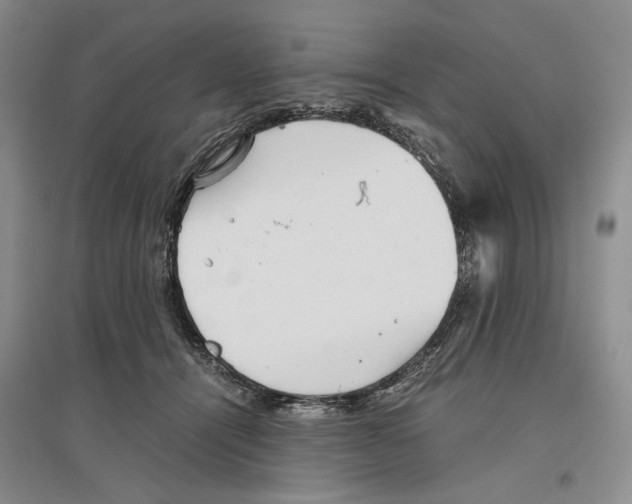 X0000096420464200802211128