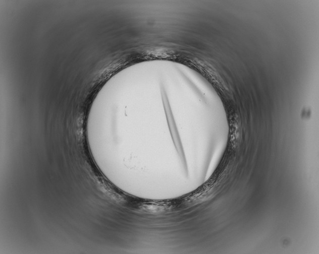 X0000096420466200802211128