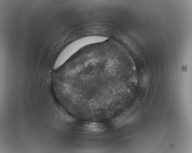 X0000096420467200802211128