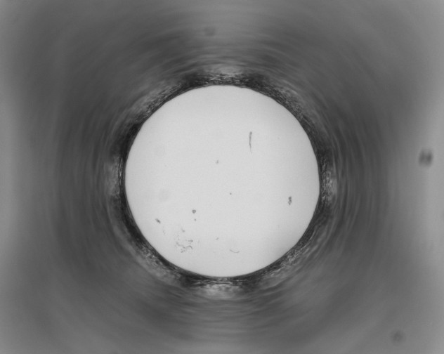 X0000096420468200802211128