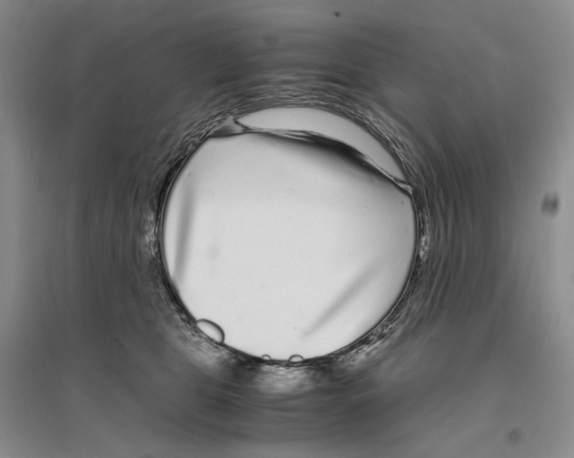 X0000096420469200802211128