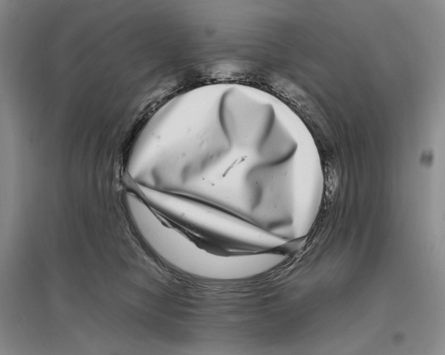X0000096420470200802211128
