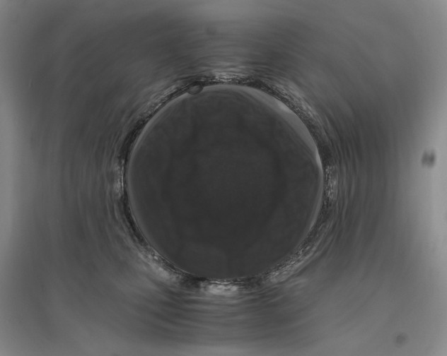 X0000096420471200802211128