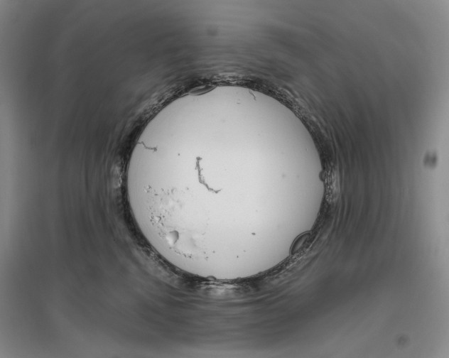 X0000096420472200802211128