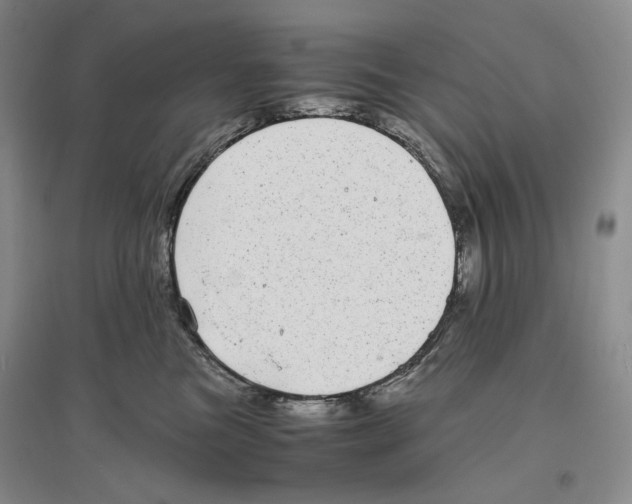 X0000096420473200802211128