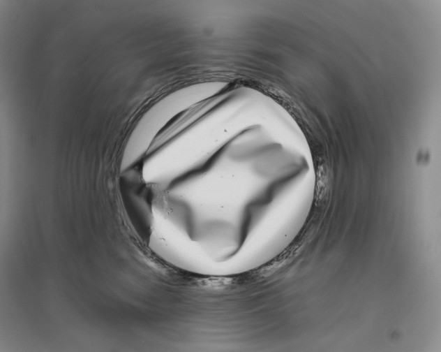 X0000096420474200802211128