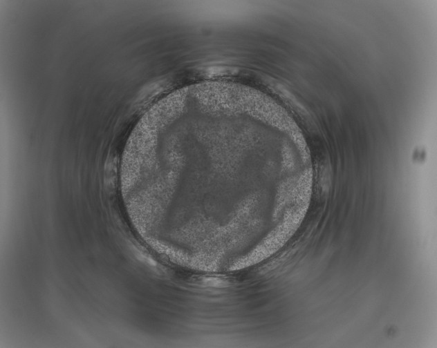 X0000096420475200802211128