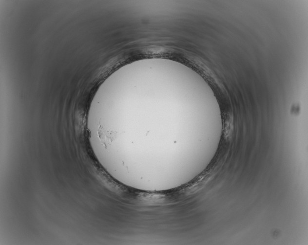 X0000096420476200802211128