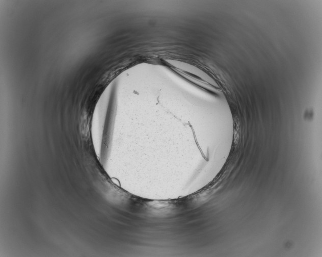 X0000096420477200802211128