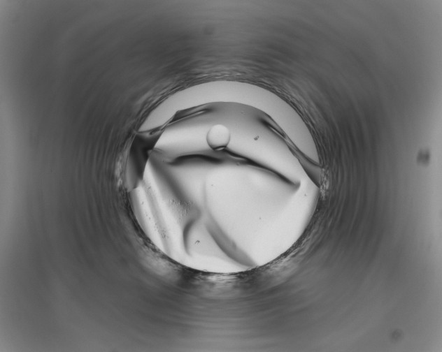 X0000096420478200802211128