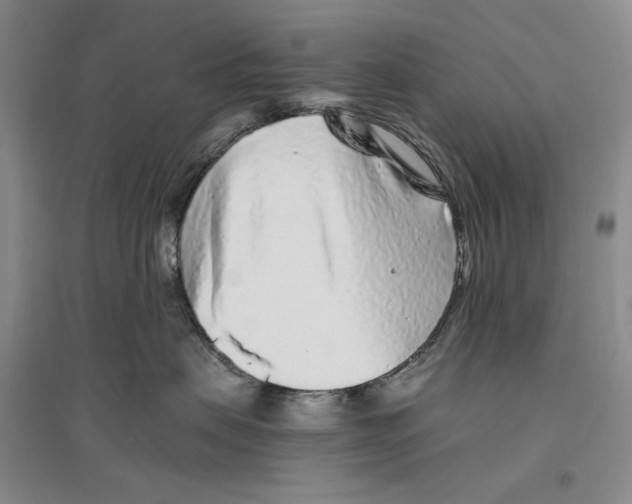 X0000096420479200802211128