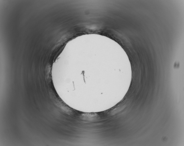 X0000096420480200802211128