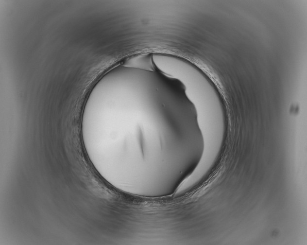 X0000096420481200802211127